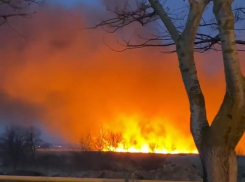 Стали известны подробности пожара в плавнях в селе Витязево под Анапой