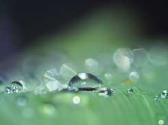 В первый день октября в Анапе тепло и дождливо