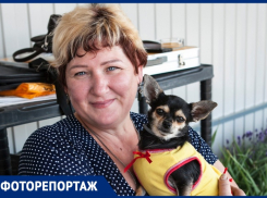 Куда с восточного рынка исчезла дама с собачкой? 