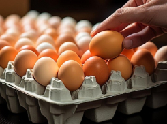 В магазинах «Магнит» в Анапе заявили об отсутствии дефицита куриных яиц