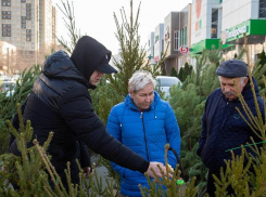 Анапчанам рассказали, что делать с ёлкой после новогодних праздников