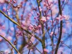 Сегодня, 21 апреля, в Анапе замечательная погода