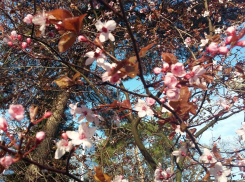 Суббота порадует анапчан тихой и тёплой погодой