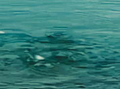 В акватории близ Анапы извергается вулкан – Росприроднадзор