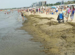 Анапа вошла в число популярных направлений для лечебного отдыха летом 2022 года