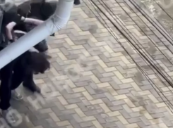 Стрелок в Анапе интересовался поиском госпожи для секса