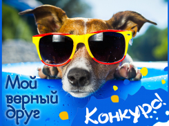 Принимайте участие в конкурсе «Мой верный друг» и выигрывайте ценные призы