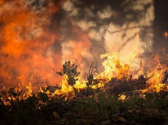 Пожар под Анапой тушили 13 человек: была реальная угроза жилым домам