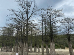 В День Радоницы в Анапе, возможно, выглянет солнце