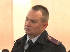 Лихача, вывернувшего с корнем сосны в Анапе, заставят всё восстановить за свой счёт
