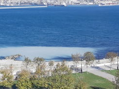 В Чёрном море недалеко от Анапы появилось большое пятно непонятного происхождения