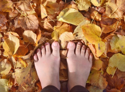 Сегодня, 26 ноября, в Анапе ещё теплее, чем вчера