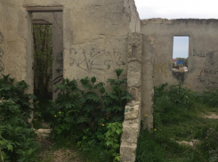 Библиотека или клуб: что должно было быть на месте заброшки в с. Витязево под Анапой?
