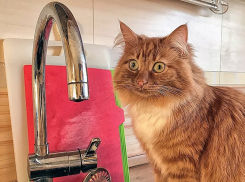 18 сентября несколько домов в Анапе останутся без воды: кому «повезёт»?