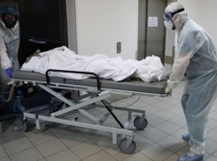 В крае за сутки из-за COVID-19 умерли 16 человек. Среди них 61-летняя анапчанка 