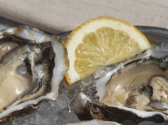Вкусная ферма: в Анапе выращивают морской деликатес