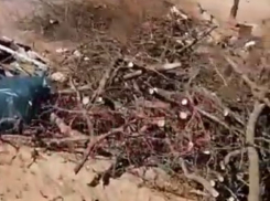 Это не свалка вовсе, а уборка территории – считают в мэрии по поводу пляжа возле санатория «Вита»