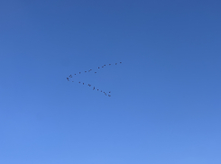 Гороскоп для анапчан на неделю: с 18 по 24 марта