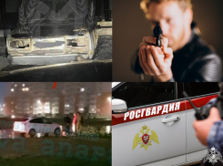 ДТП с пешеходом и смертельная стрельба – чем запомнилась уходящая неделя