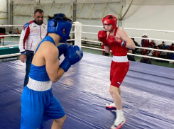 Первенство края по боксу сейчас проходит в Анапе