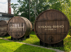 На фоне «национализации» ГК «Ариант» анапская винодельня «Кубань-Вино» сократила выручку в 72 раза