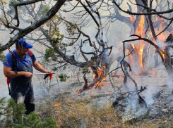 Штрафы пользователям лесного фонда за противопожарные нарушения могут увеличить