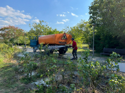 В день рождения смайлика в Анапе снова ожидается сильный ветер