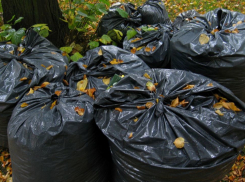 Мусорная реформа в Анапе, скорее всего, откладывается 