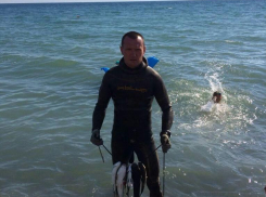 «Это был вовсе не сарган, а змея!» - морской охотник о неожиданной встрече