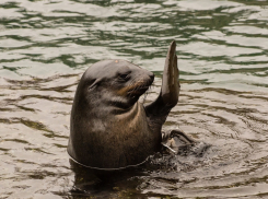 Во Всемирный день приветствий в Анапе погода наладится