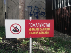 Кто должен убирать собачьи экскременты в анапских  дворах