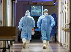 На Кубани зарегистрировали 107 заболевших COVID-19, в Анапе новых случаев нет