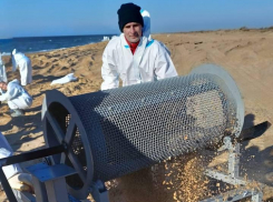 На пляжах Анапы испытывают новые технологии деликатной очистки 