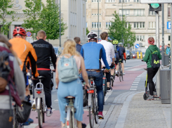 Анапчане обсуждают пешеходов, которые переходят дорогу, наплевав на ПДД