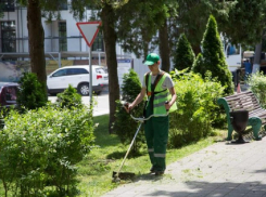 На покос и полив зеленых насаждений в Анапе выделяют 4,3 млн рублей