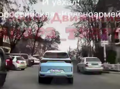 Собаку переехали на пешеходном переходе в Анапе: водитель скрылся