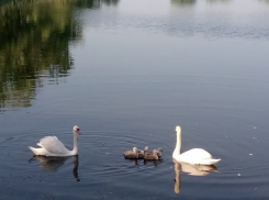 Хочешь бесплатный билет на фестиваль от ресторана «Винотеррия»? Присылай фото 