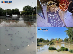 Залповый ливень и несчастные случае на воде  – чем запомнилась неделя анапчанам