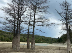 В Международный день Матери-земли в Анапе дождливо и пасмурно