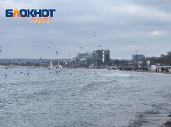 Наша очередь прятаться: В День игры в прятки с зимой в Анапе дождь со снегом