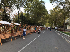 Во Всемирный день кокоса в Анапе снова ясно