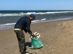 В МУП «ОКУ» рассказали, опасны ли следы мазута на пляже в Анапе
