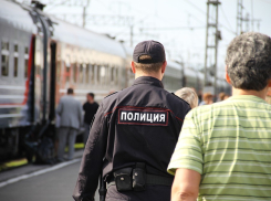 Омич устроил пьяный дебош в поезде Красноярск-Анапа и оскорбил полицейского