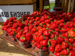 Анапа находится в регионе с идеальным климатом