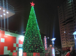 Москвичка оказалась неприятно удивлена ёлкой в Анапе 