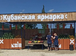 В окрестностях Анапы открываются придорожные ярмарки