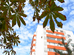 В субботу, 26 октября, в Анапе до +20 и солнечно