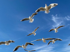 В День разведки ВМФ России в Анапе солнца будет немного