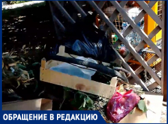 «Контейнеры заклинило и рядом образовалась свалка» – анапчане о мусорной проблеме