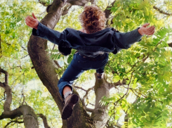 В Сукко под Анапой мальчик упал с дерева на торчащую из земли ветку